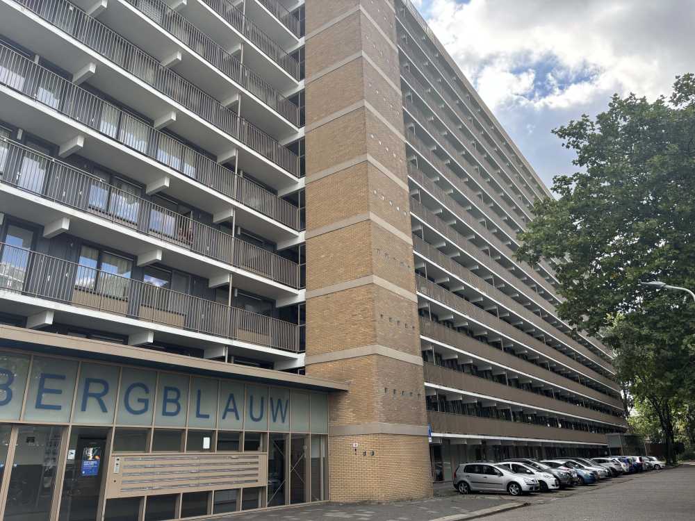 Bergblauwstraat 116, 1503 MK Zaandam, Nederland