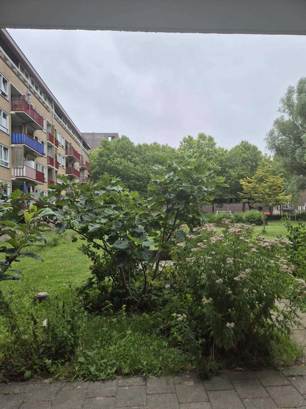 Sam van Houtenstraat 213
