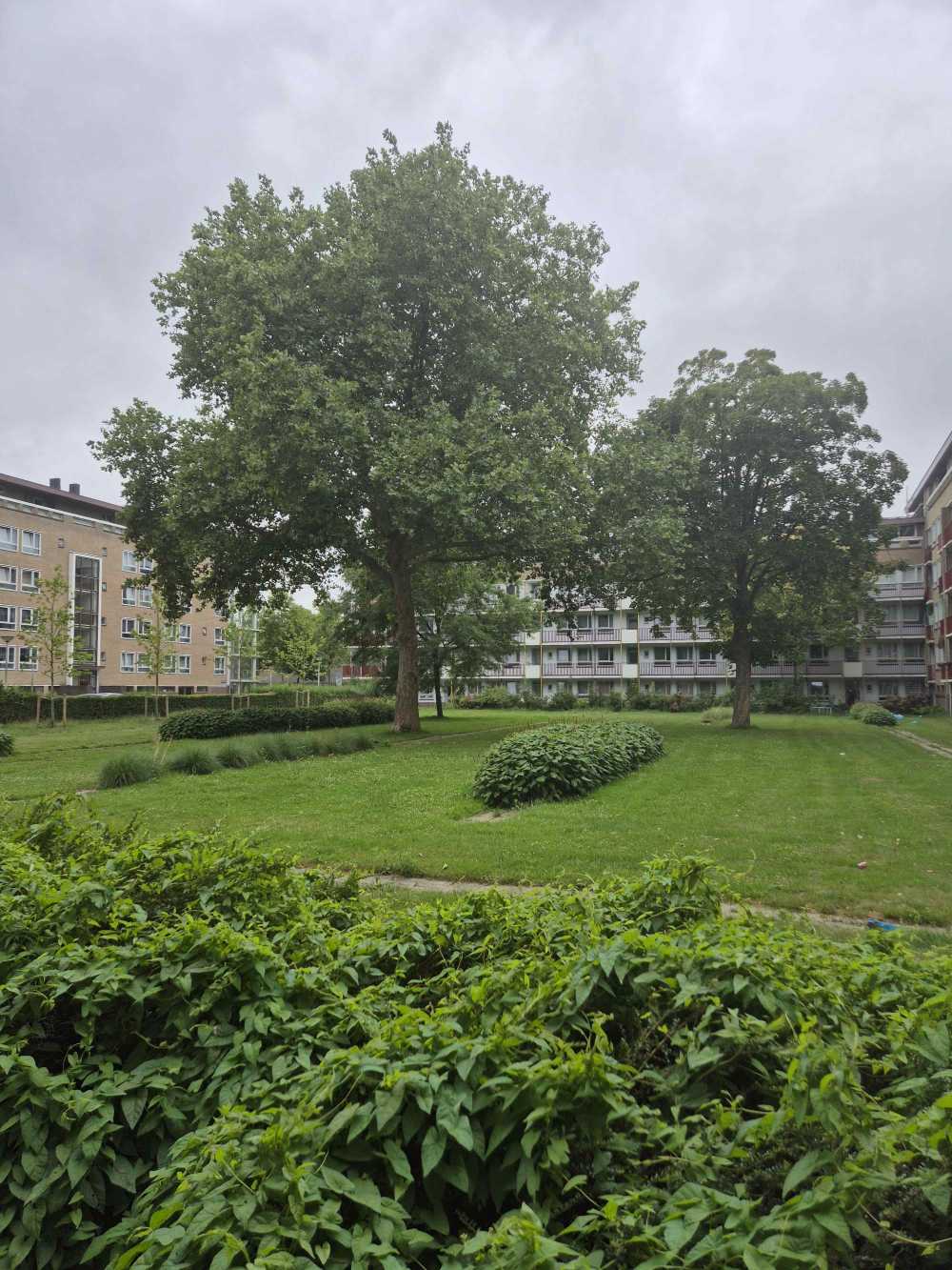 Sam van Houtenstraat 213
