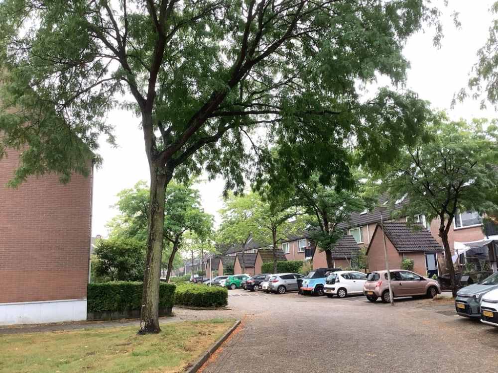 Watermolen 21