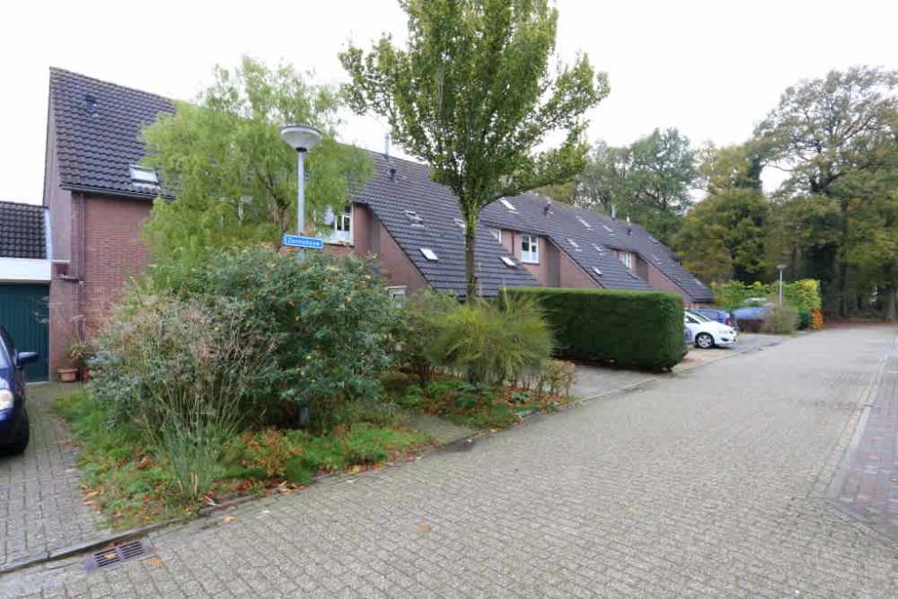 Zonnedauw 3