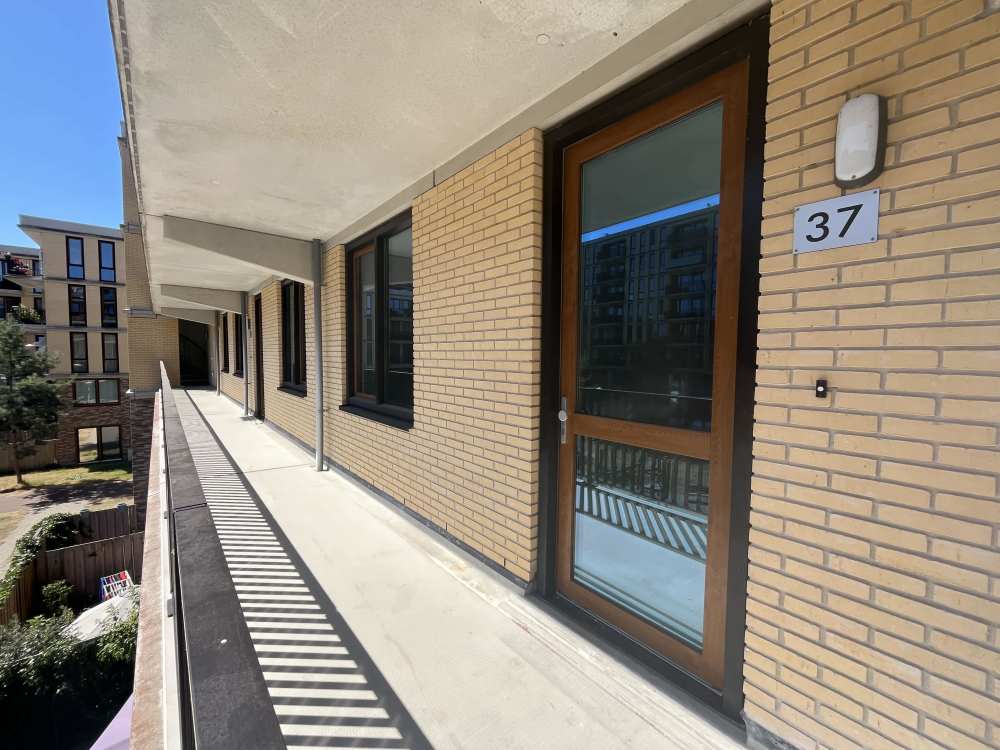 Zuidgorsstraat 37