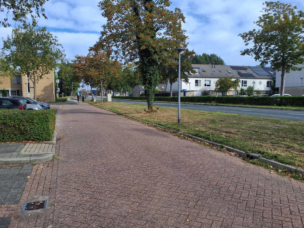 Pasolinistraat 12