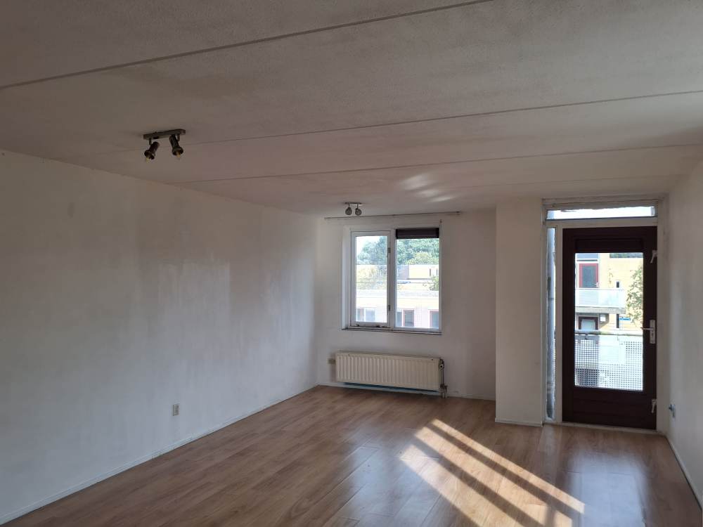 Pasolinistraat 12
