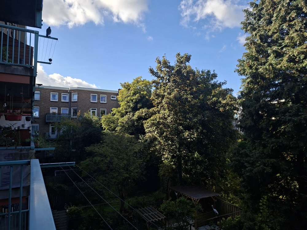 Van Speijkstraat 105D