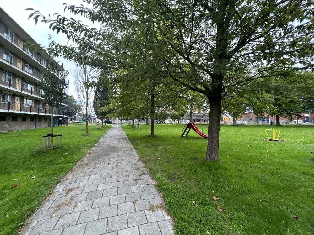 Zonnedauwhoek 13