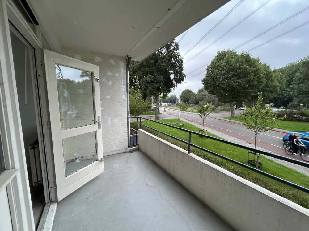 Zonnedauwhoek 13