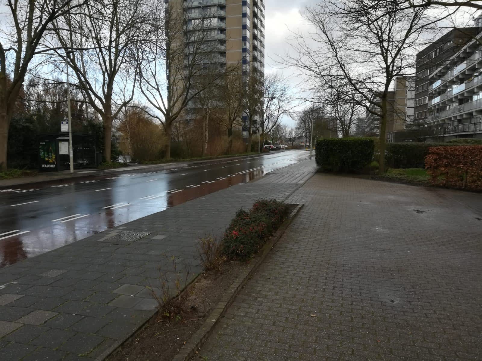 Briandlaan 15 - Haarlem