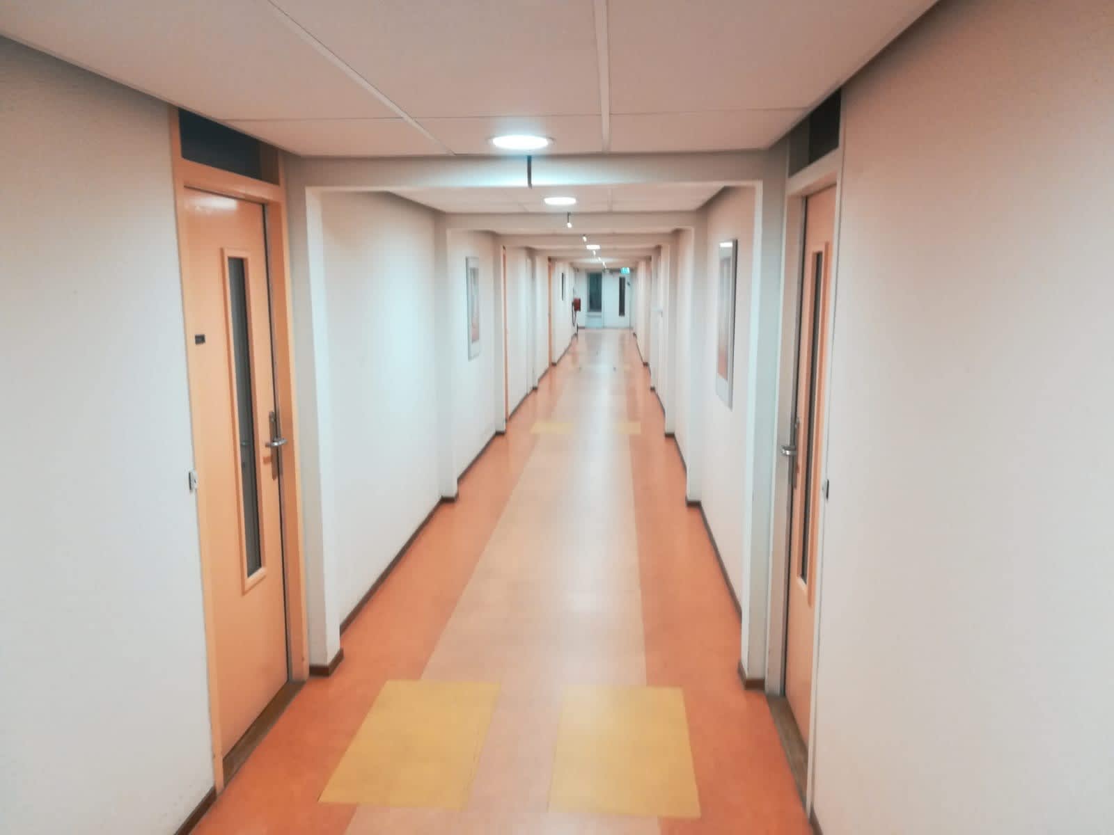 Briandlaan 15 - Haarlem