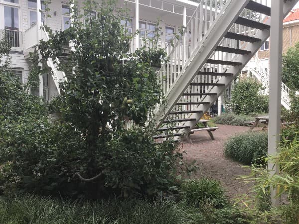 Orteliusstraat 1-A - Amsterdam