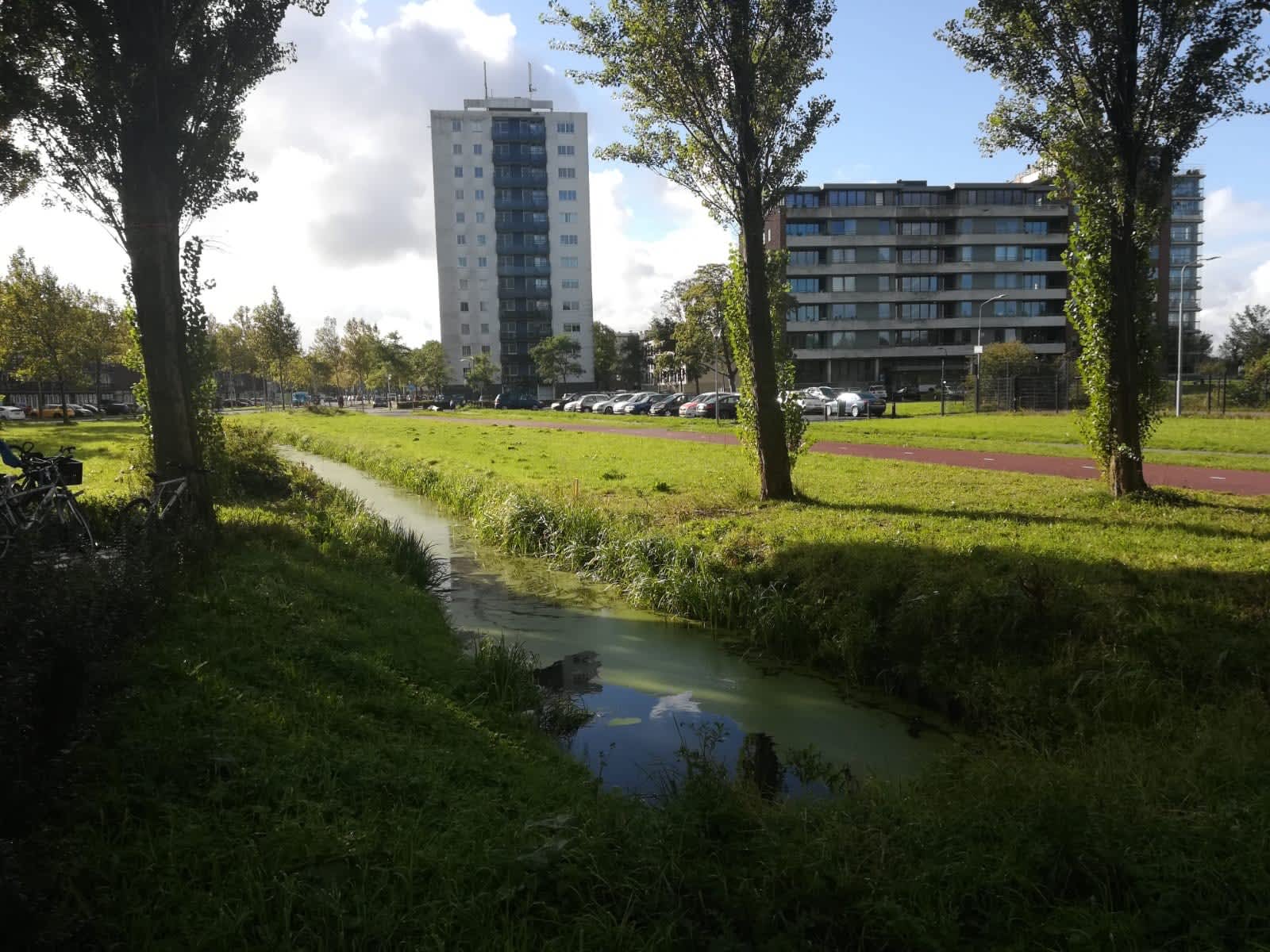 Dijkzichtlaan 243 - Haarlem