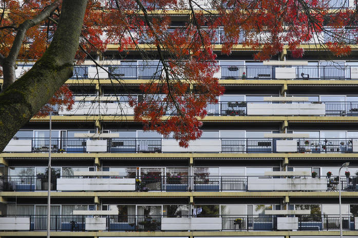 De Clomp 1542 - Zeist