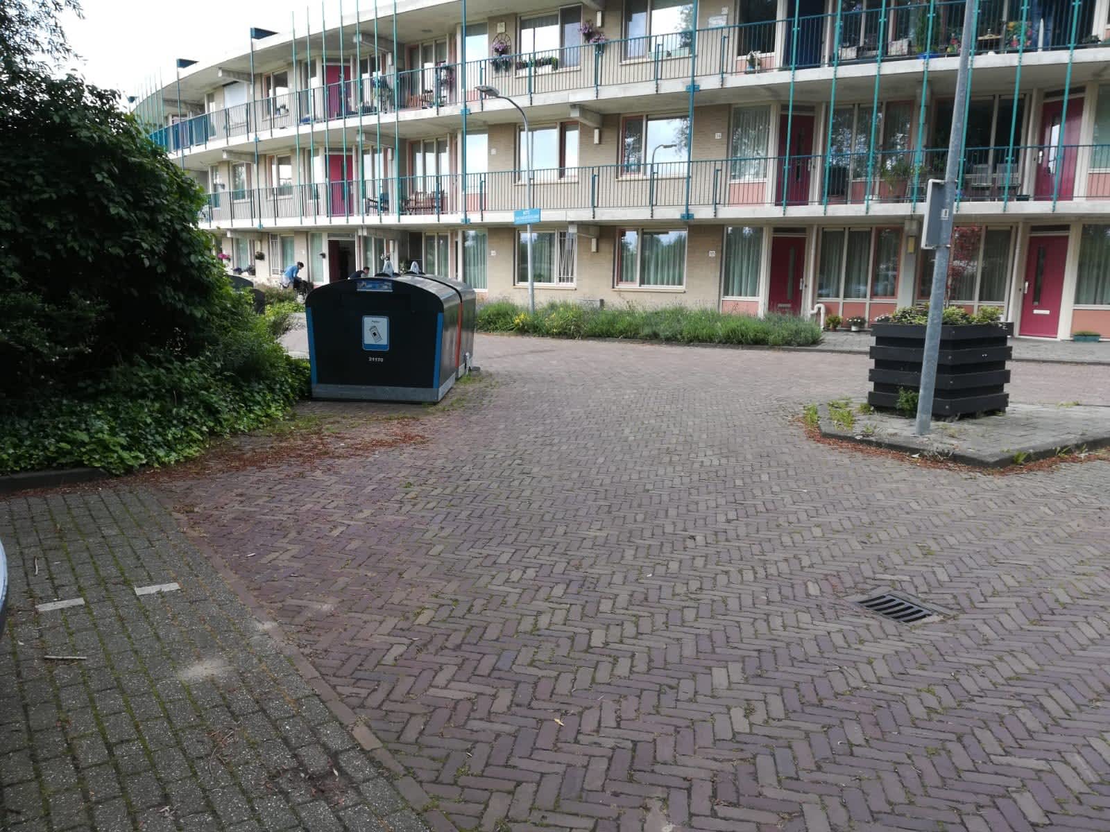 Witte van Haemstedelaan 38, Haarlem