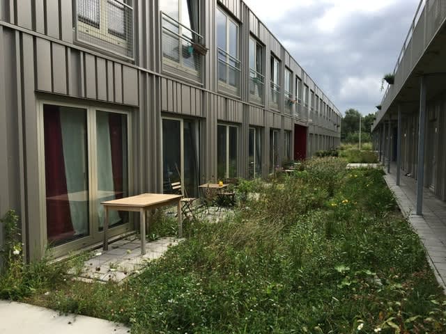 Science Park 804L - Amsterdam