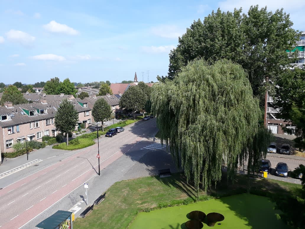 De Alblashof 49 - Alblasserdam