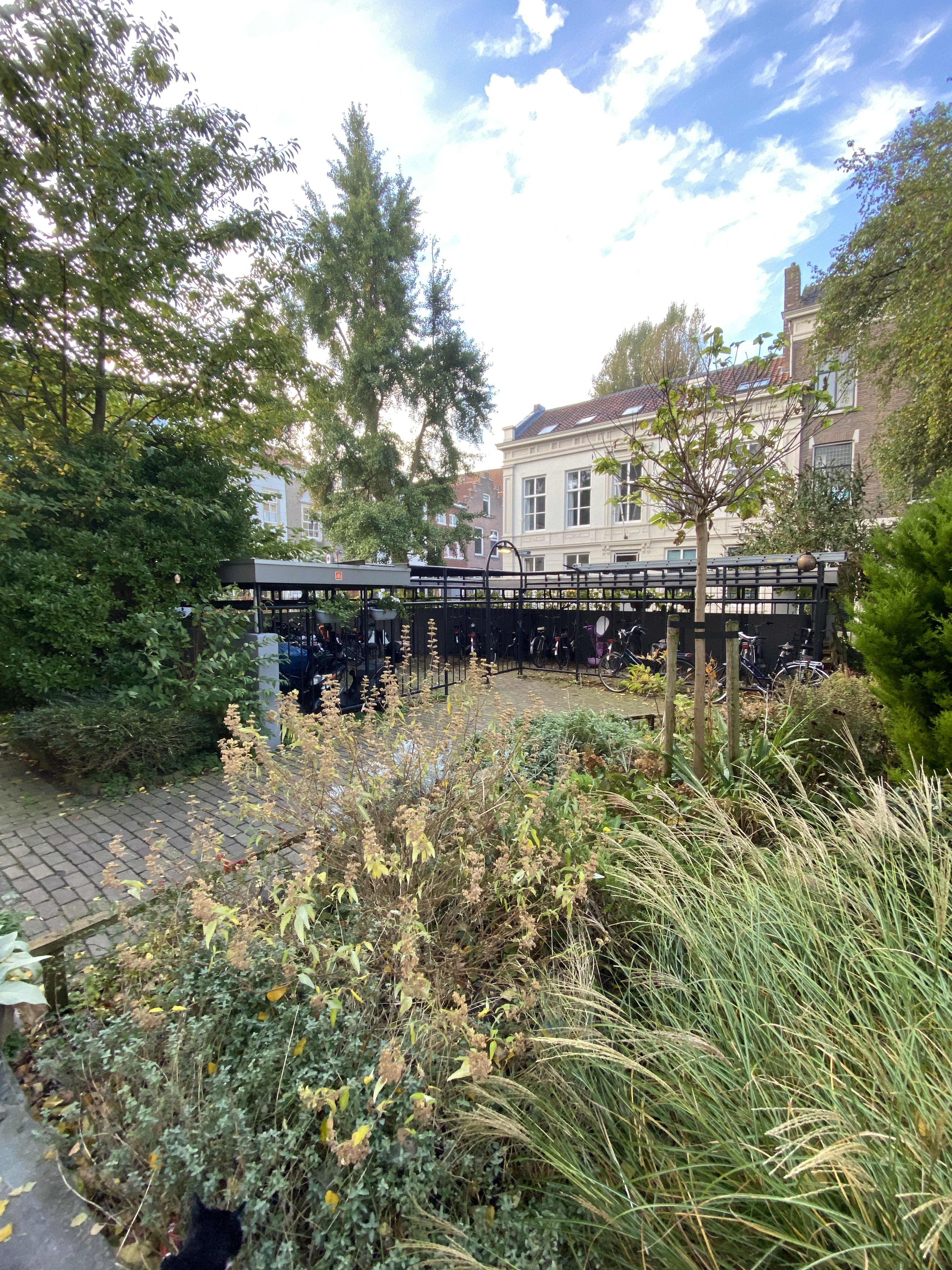 Binnen Walevest 31 - Dordrecht