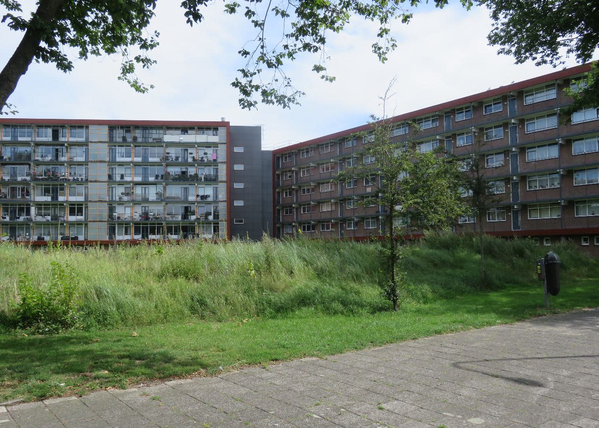 homes for rent on Keesomstraat 251