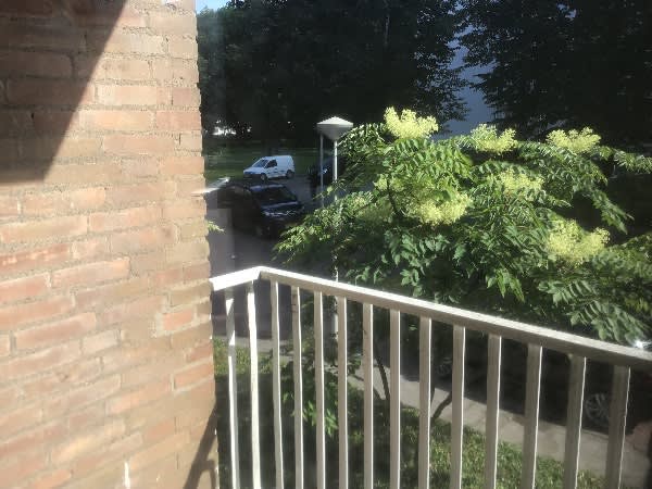 Botteskerksingel 31-3 - Amsterdam