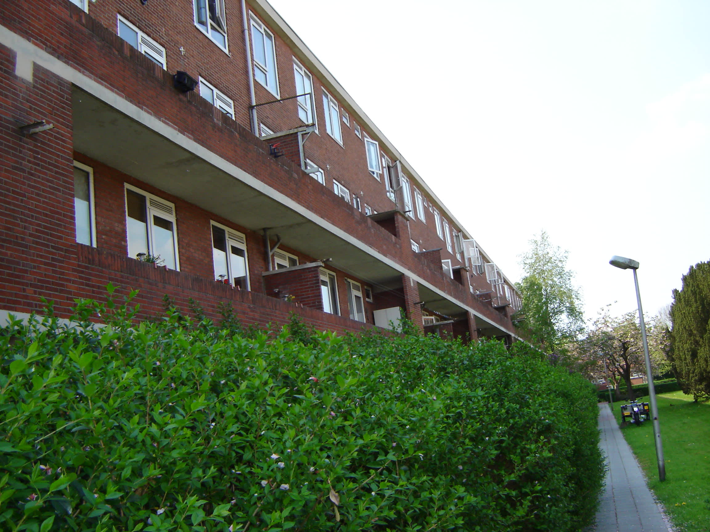 Pioenstraat 124 - Groningen