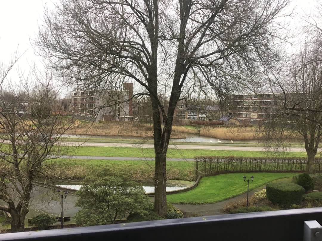 Wadenoijenlaan 220 - Tiel