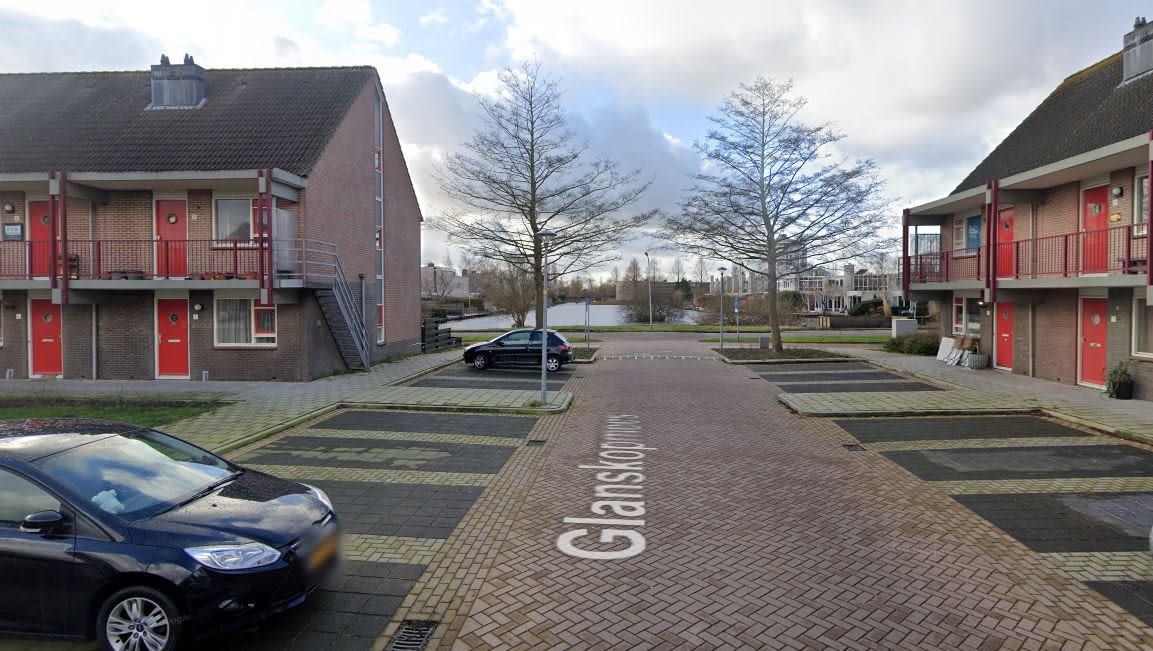 Glanskopmees 52 - Uithoorn