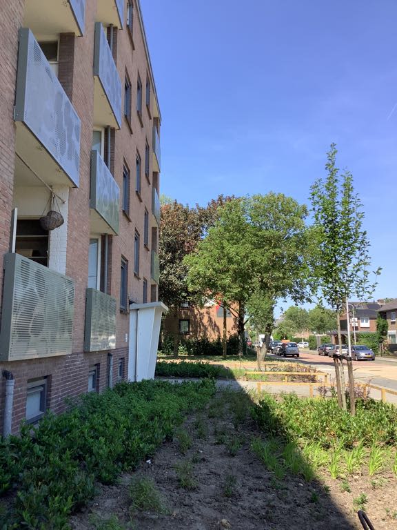 De Savornin Lohmanweg 34C - Alblasserdam