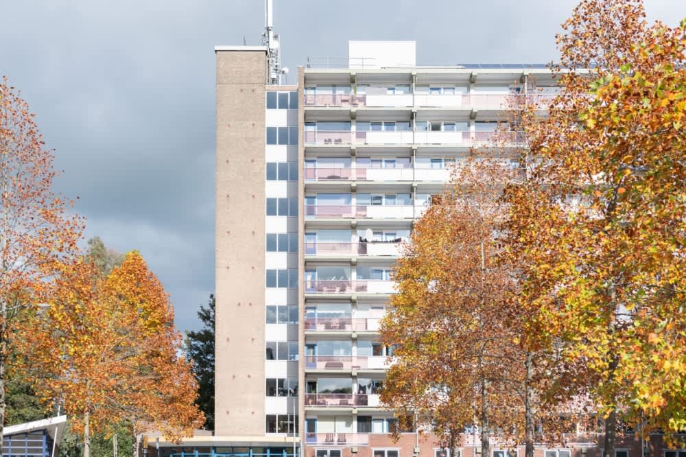 Sperwerstraat 138 - Sliedrecht