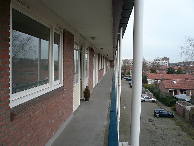 Zangvogelweg 209 - Amersfoort
