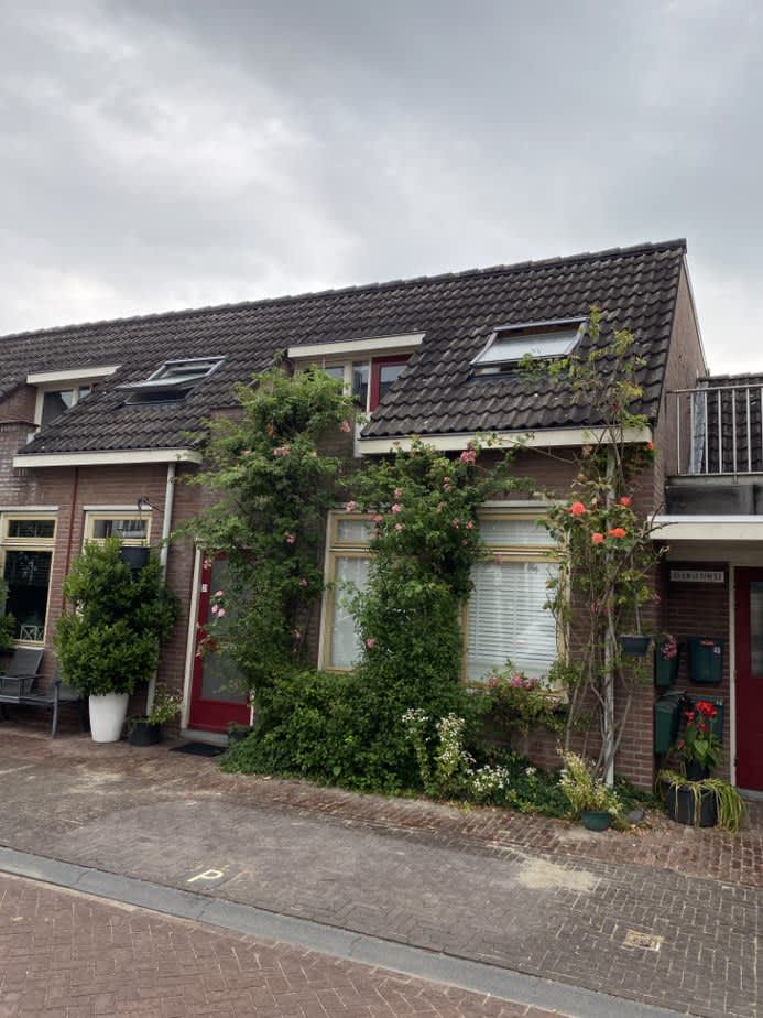Vogelenzang 45