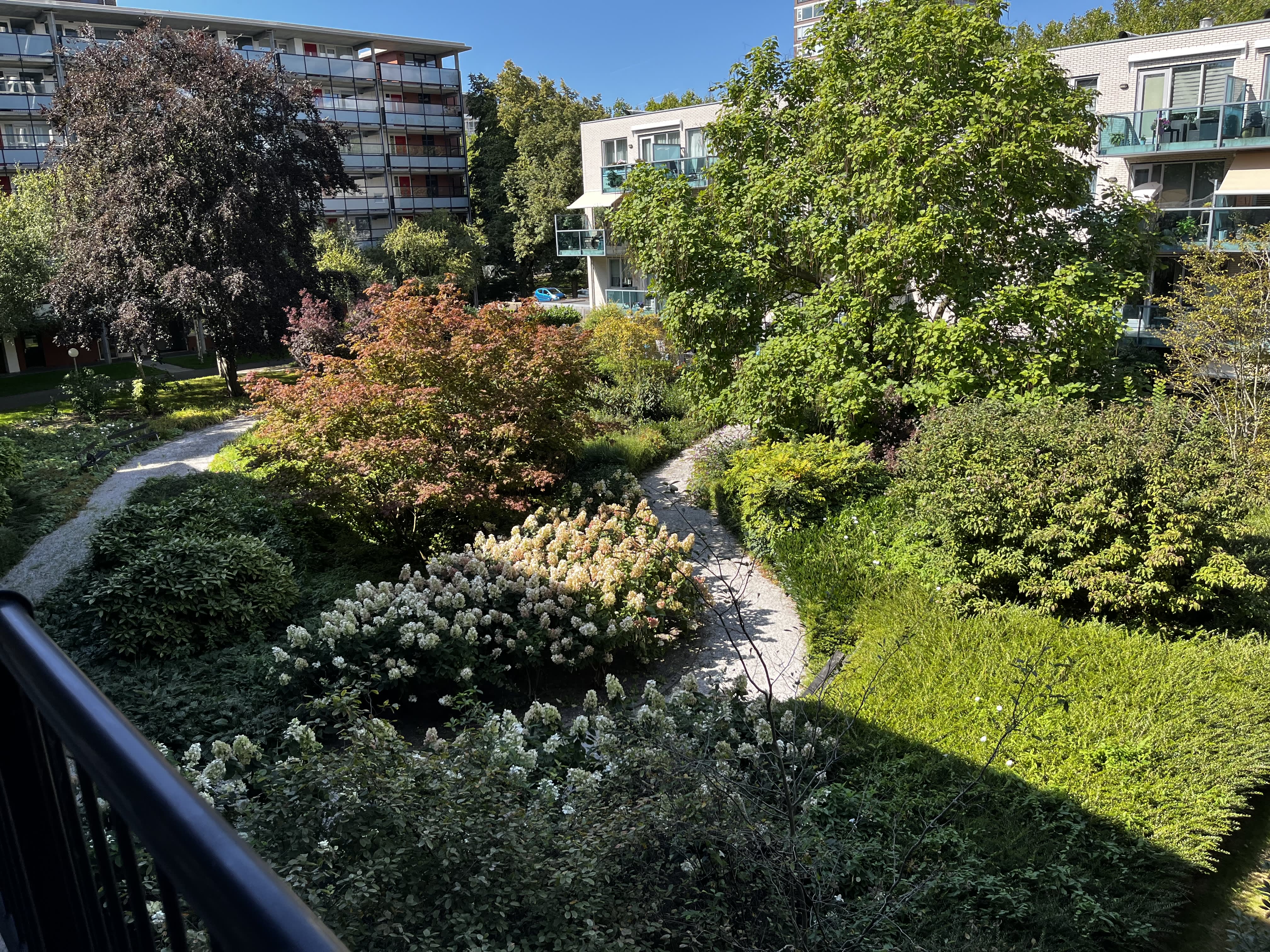 Radboud 14C - Amsterdam