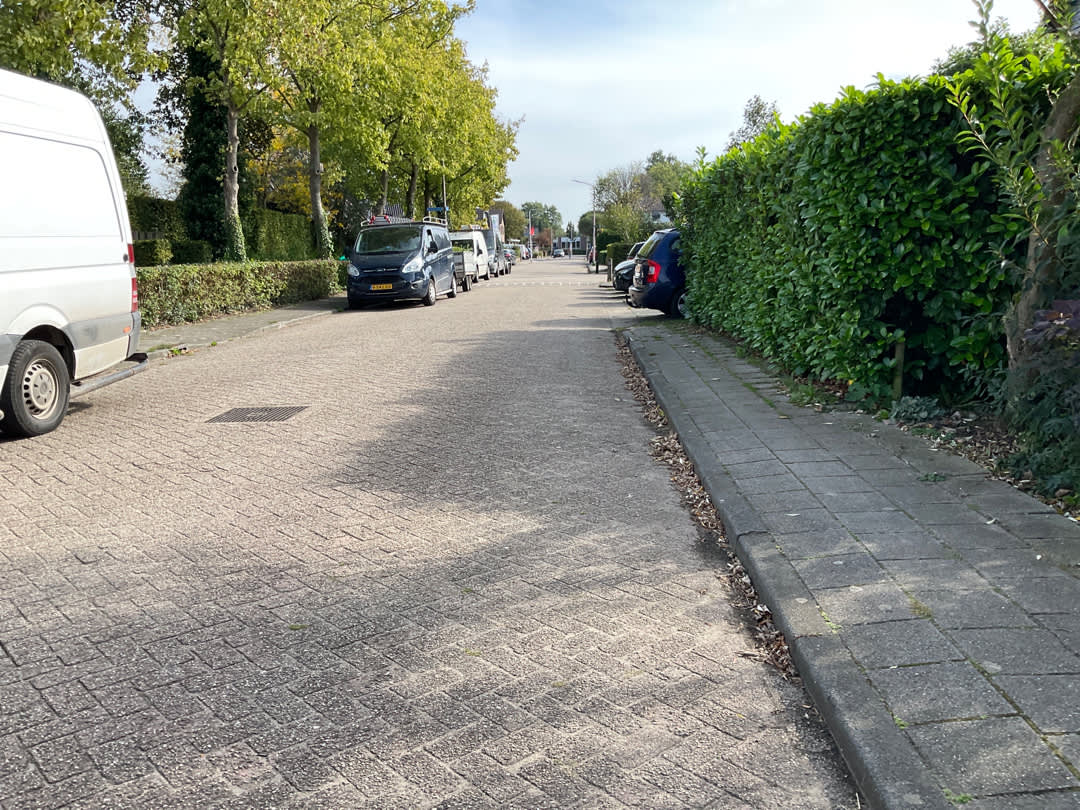 Palmesteynstraat 21 - Deil