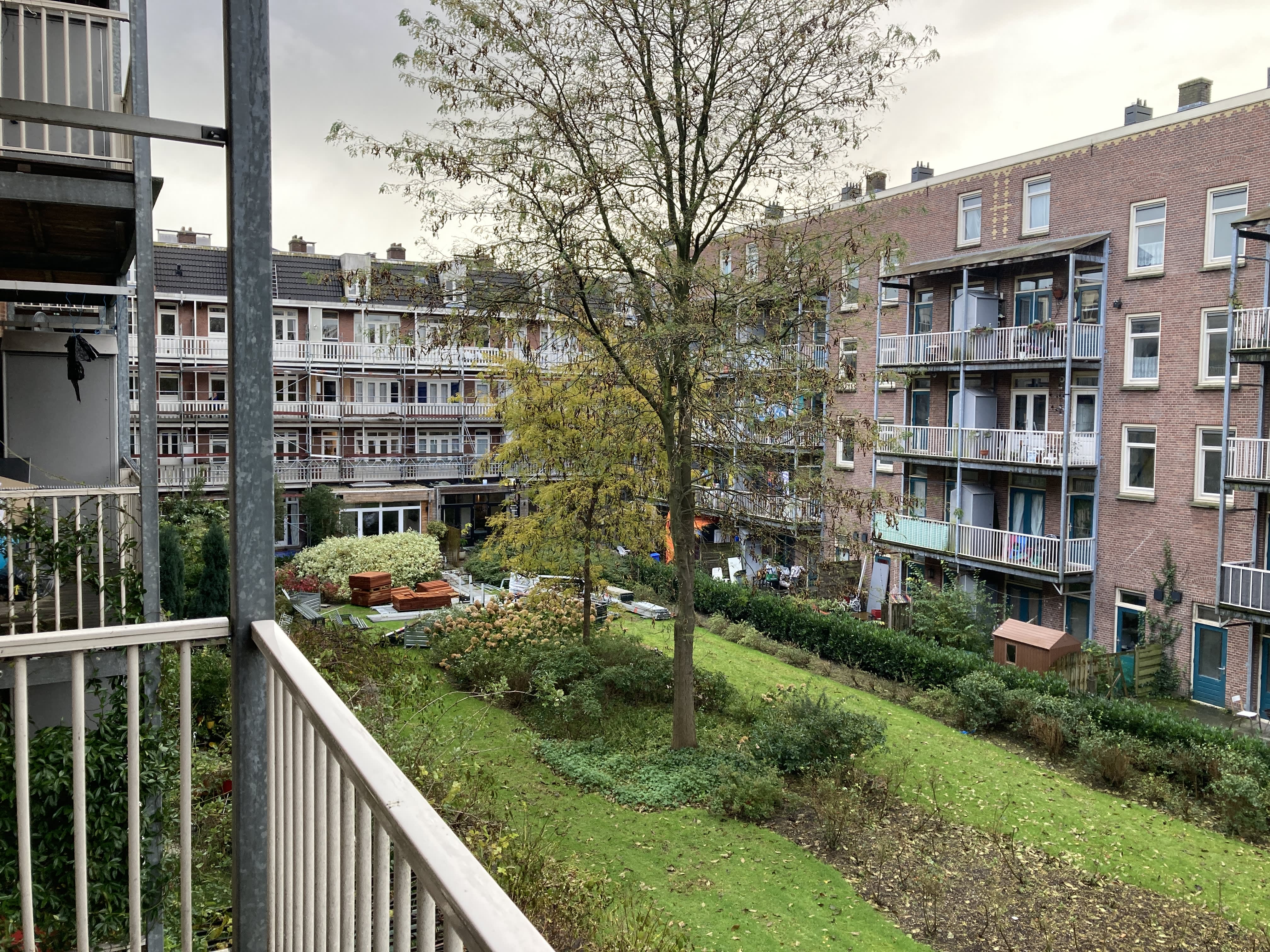 Borgerstraat 2452 - Amsterdam