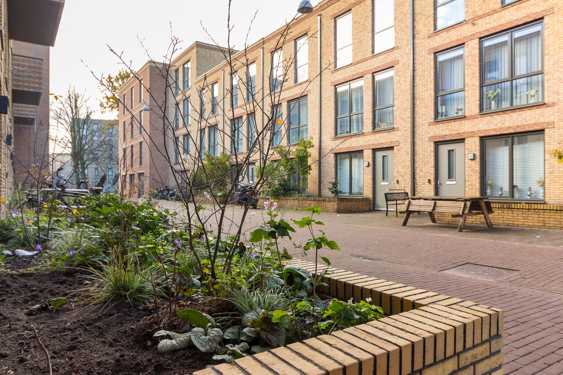 Elfendansstraat 36 - Amsterdam