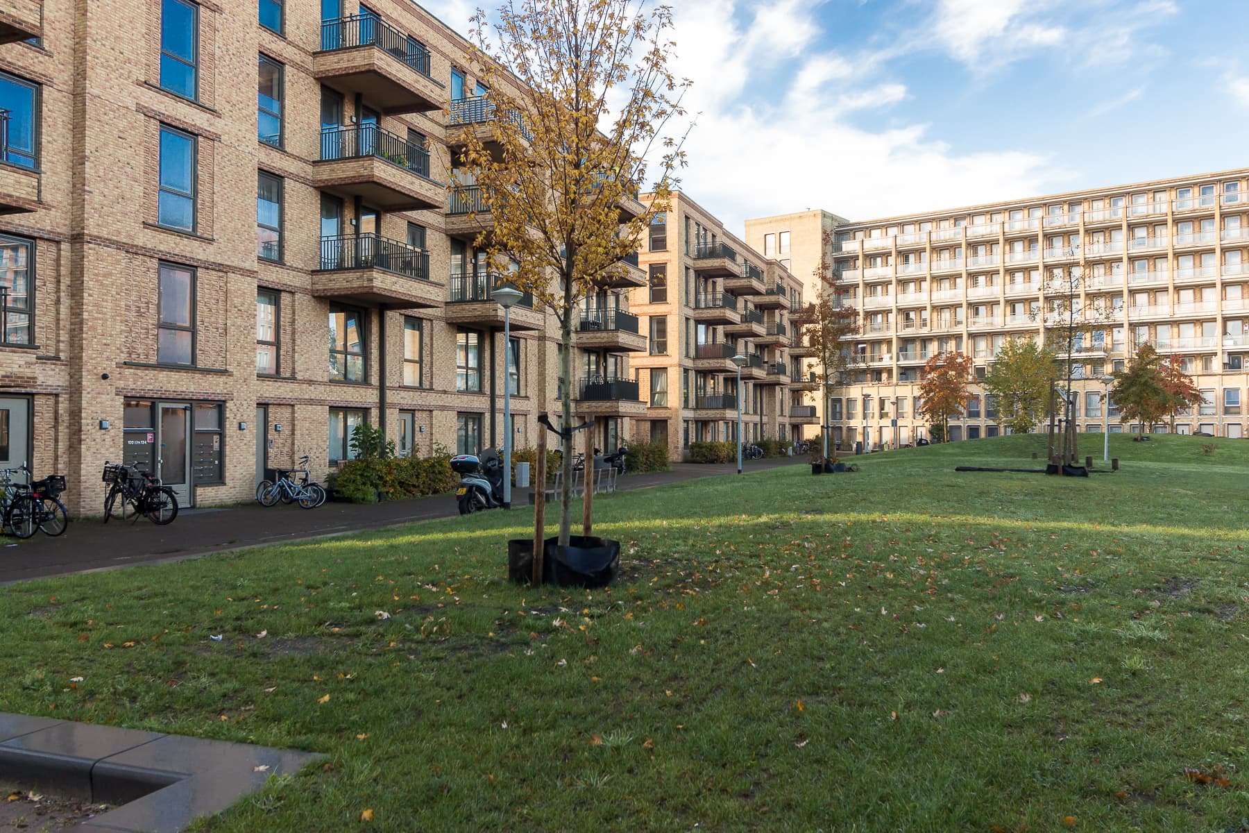 Elfendansstraat 36 - Amsterdam