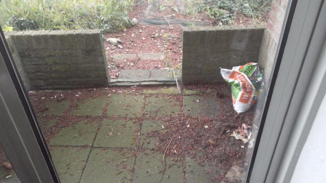 Schapenstraat 170 - Hilversum