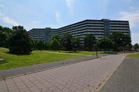 Huigenbos 219 - Amsterdam