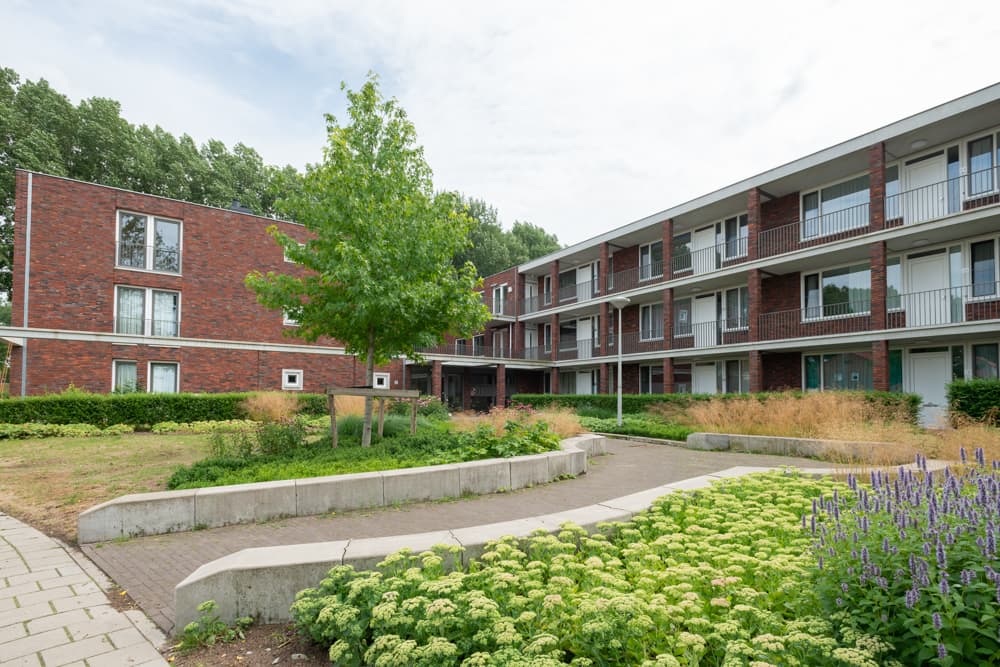 Jaargetijden 52 - Amsterdam