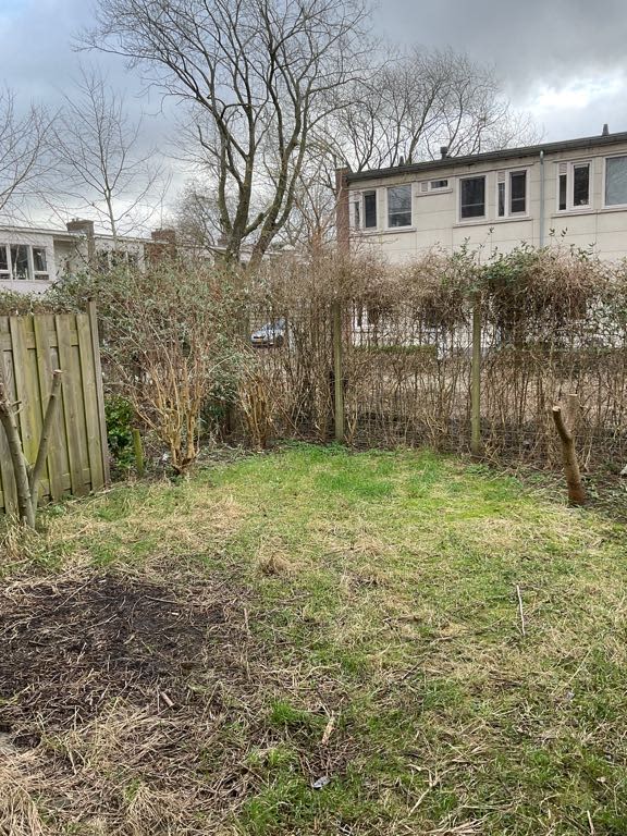 Korteweghof 3A - Amsterdam