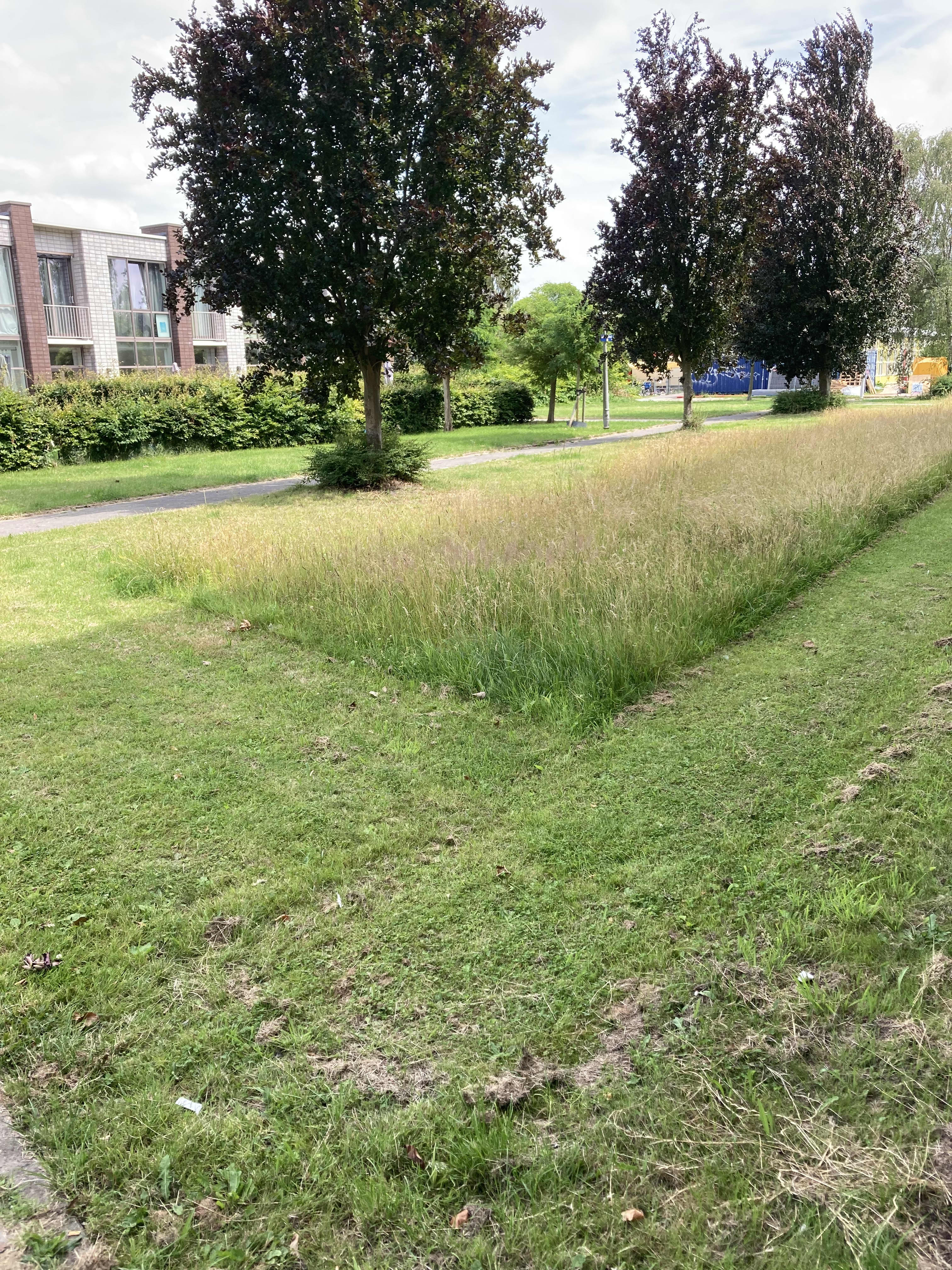 Berzeliusstraat 2 - Amsterdam