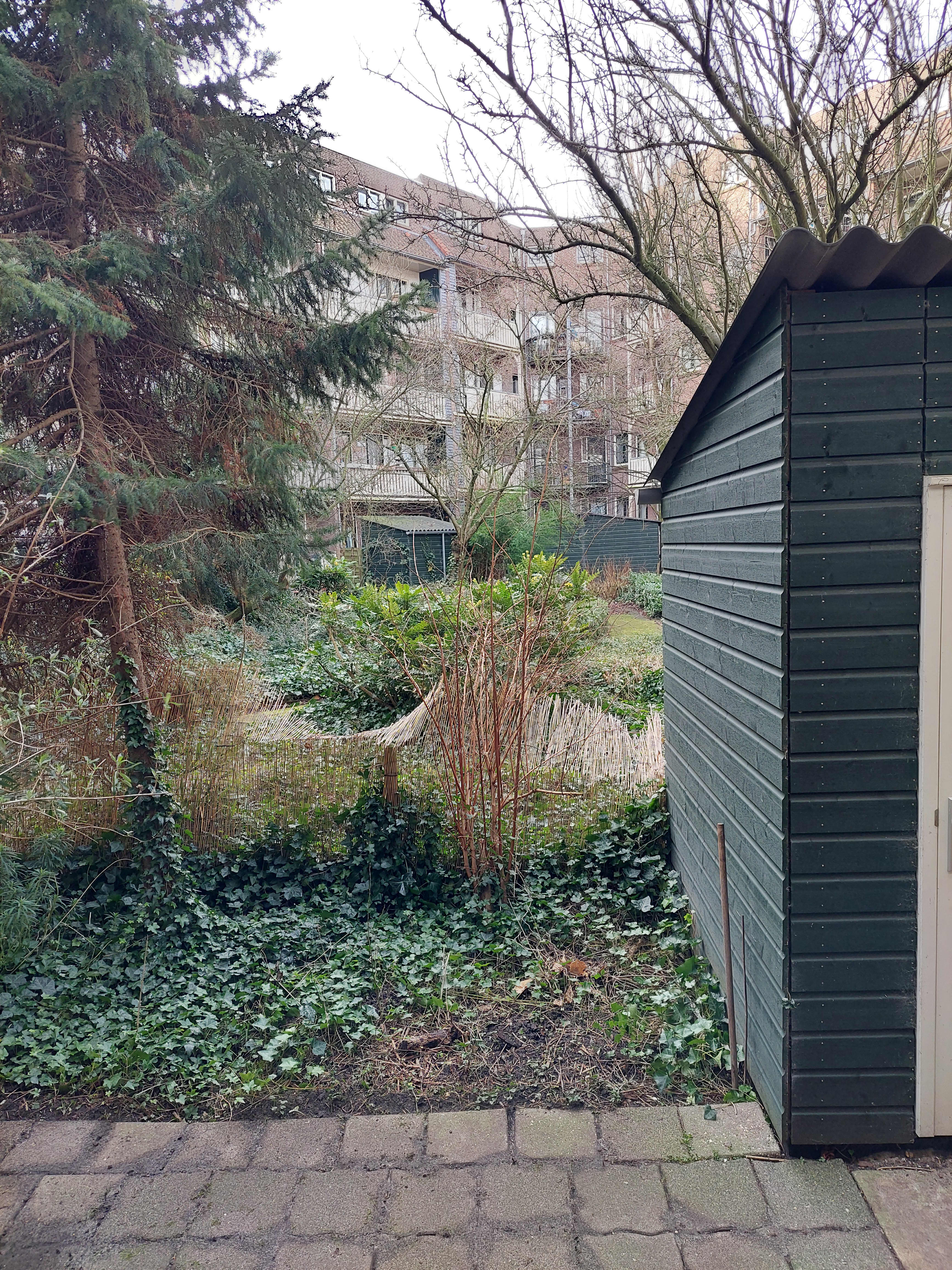 Willaertstraat 42 - Amsterdam