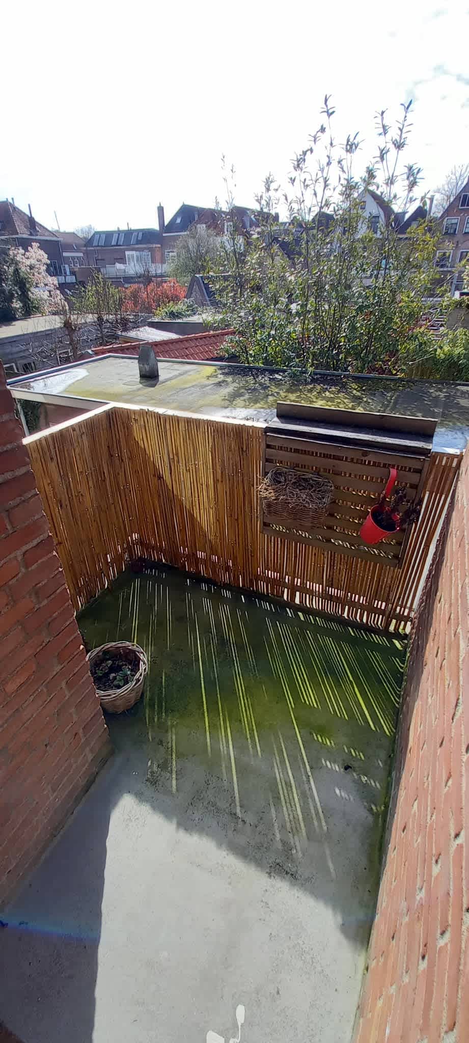 Balensteiger 10B - Gorinchem