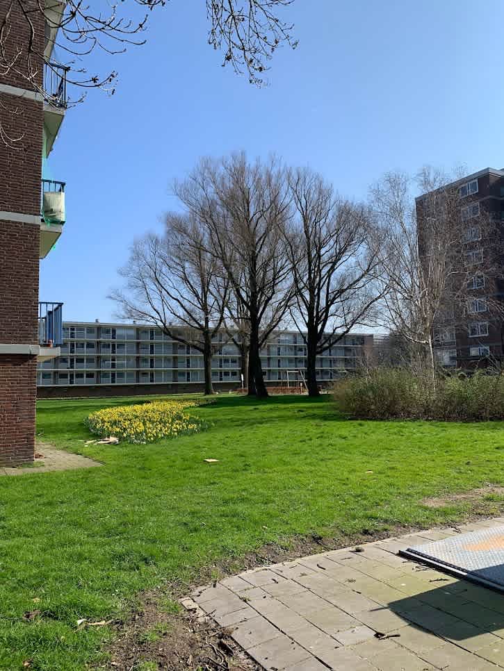 Lobeliusstraat 40 - Zaandam