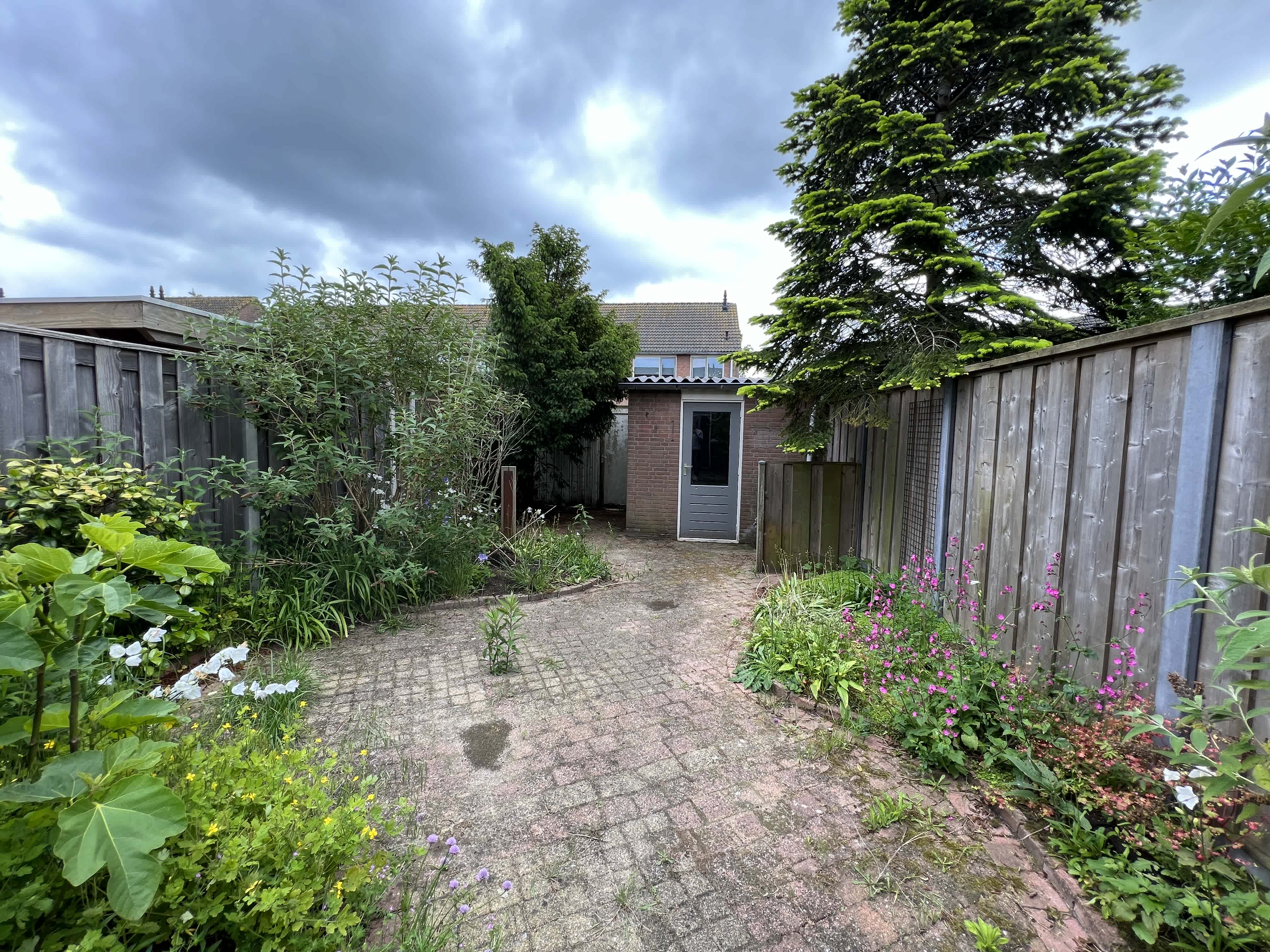 Snippenbos 19 - IJmuiden