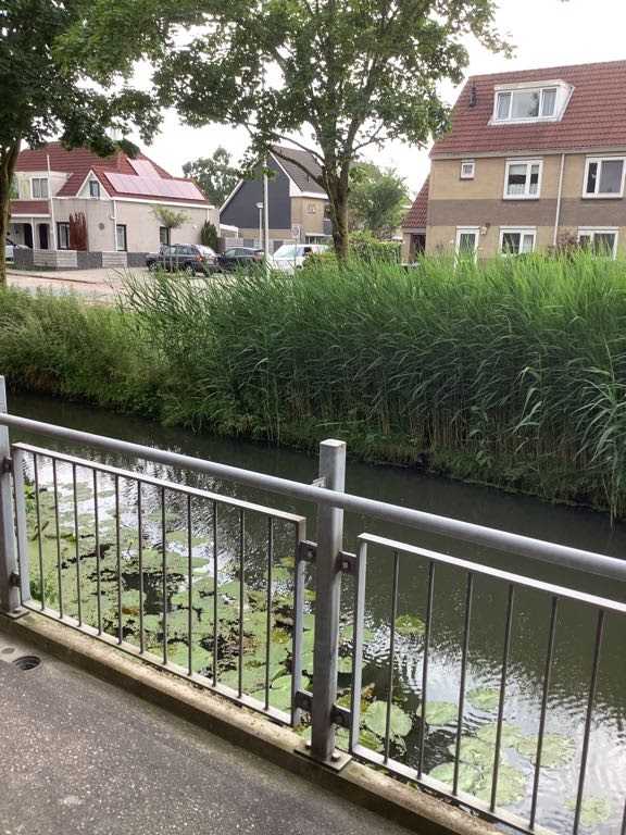 Zwanebloemplein 4 - Papendrecht