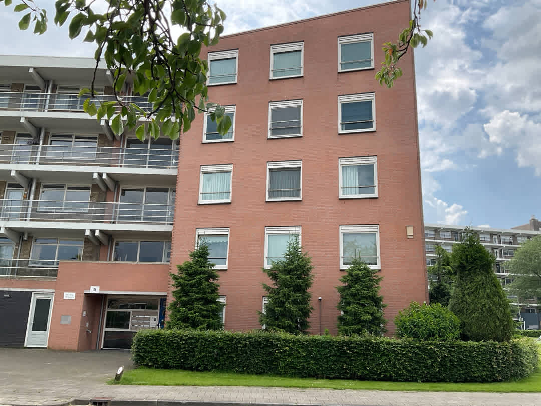 Martin Luther King 207 - Culemborg