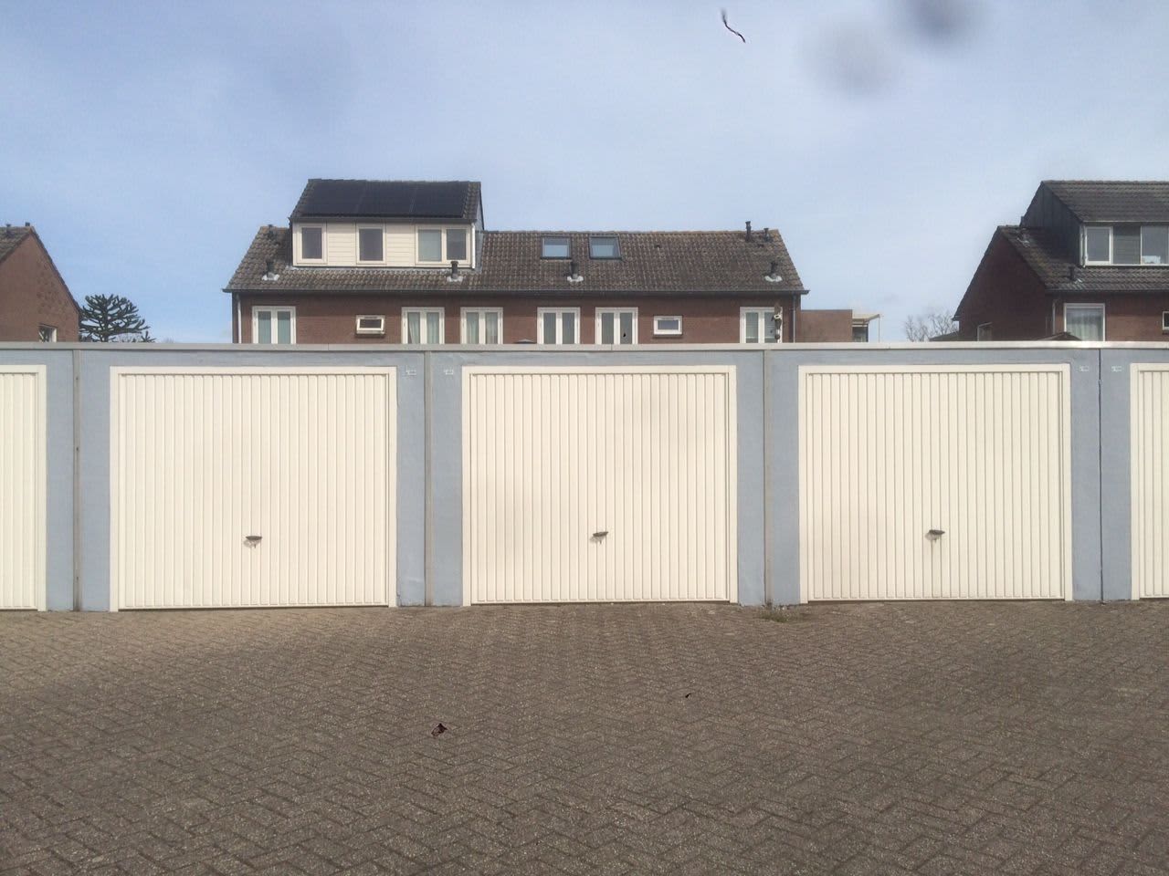 Zeilhof 1G609 - Rijsenhout