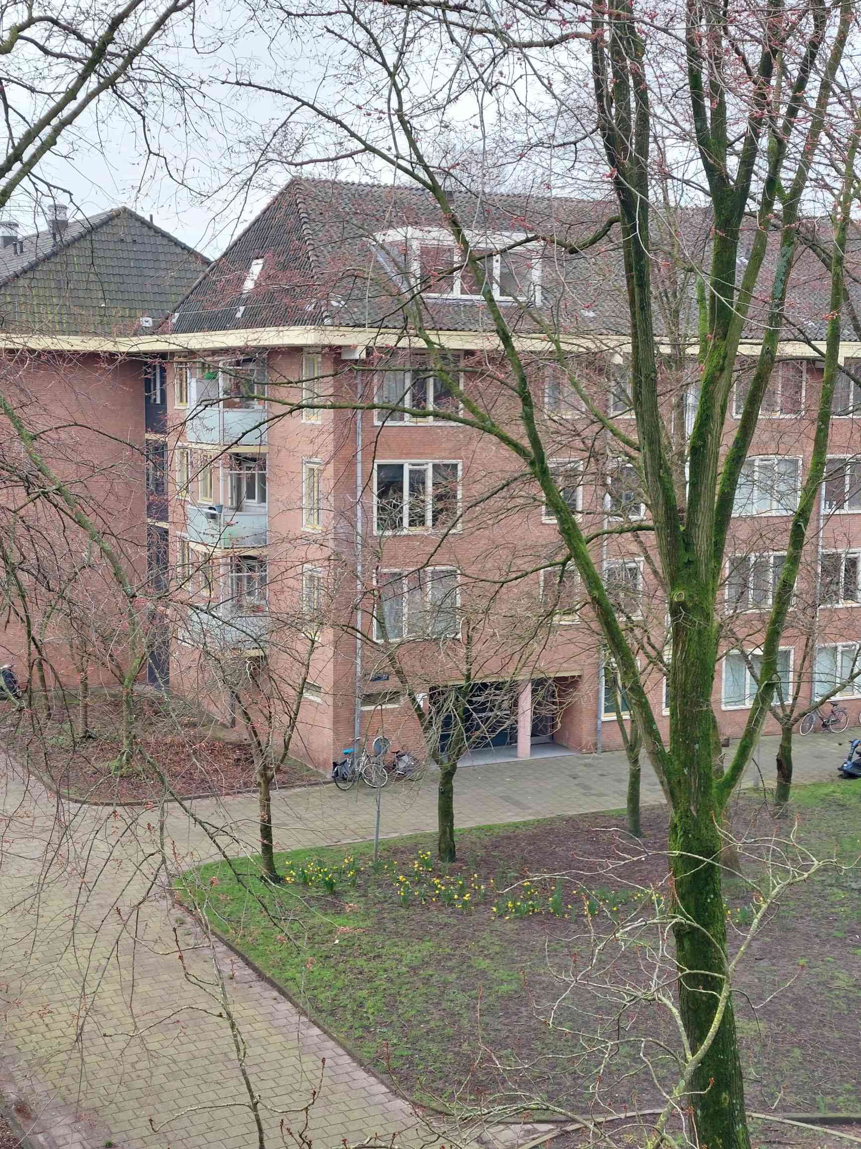 appartementen te huur op Roomtuintjes 41