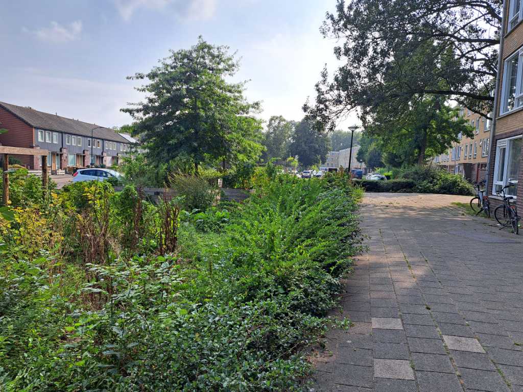 Dirk Fockstraat 114 - Wijk bij Duurstede