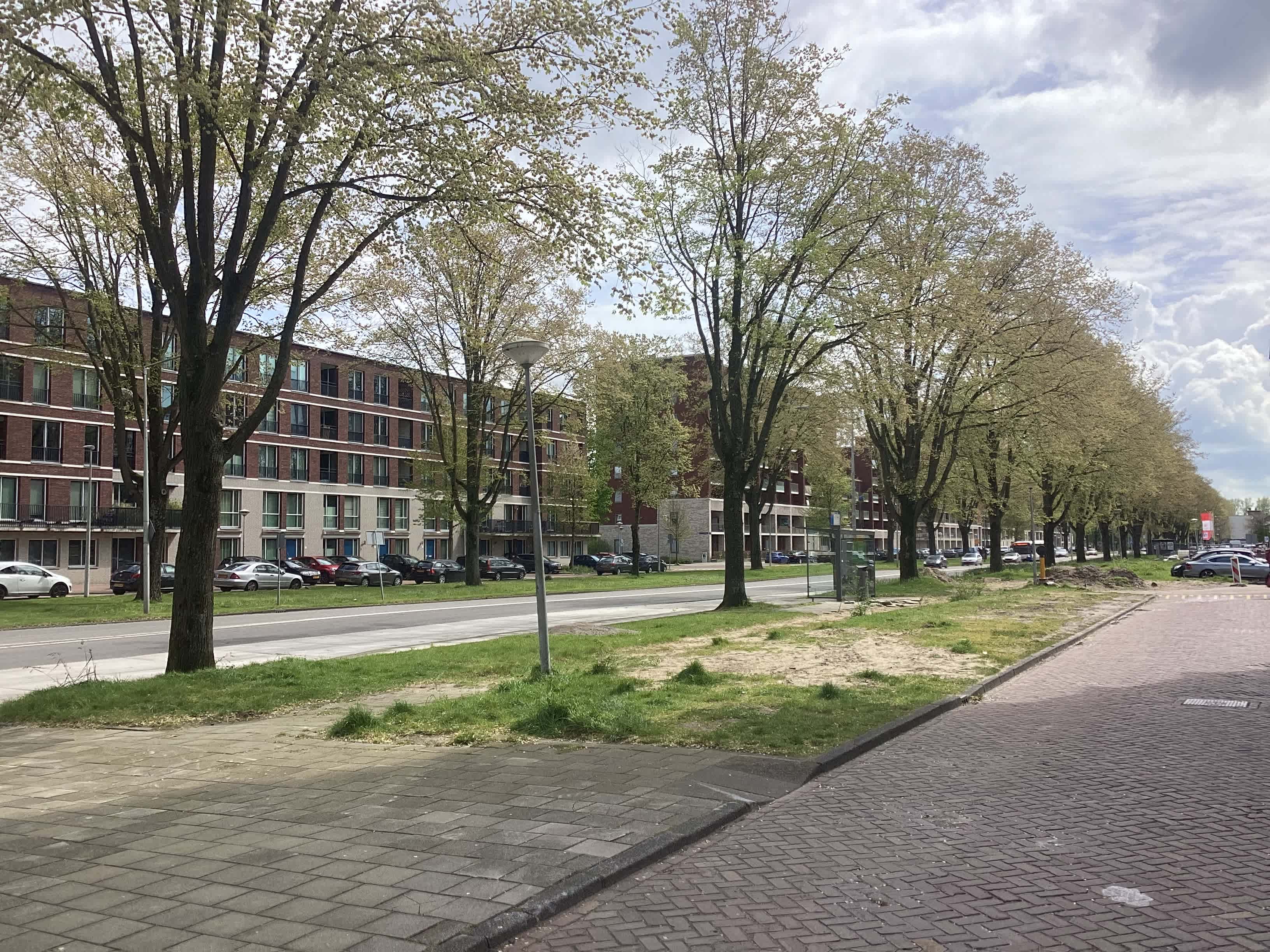 Duinluststraat 37 - Amsterdam