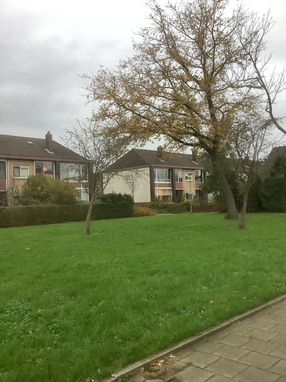 Zuiderkruisstraat 25 - Zwijndrecht